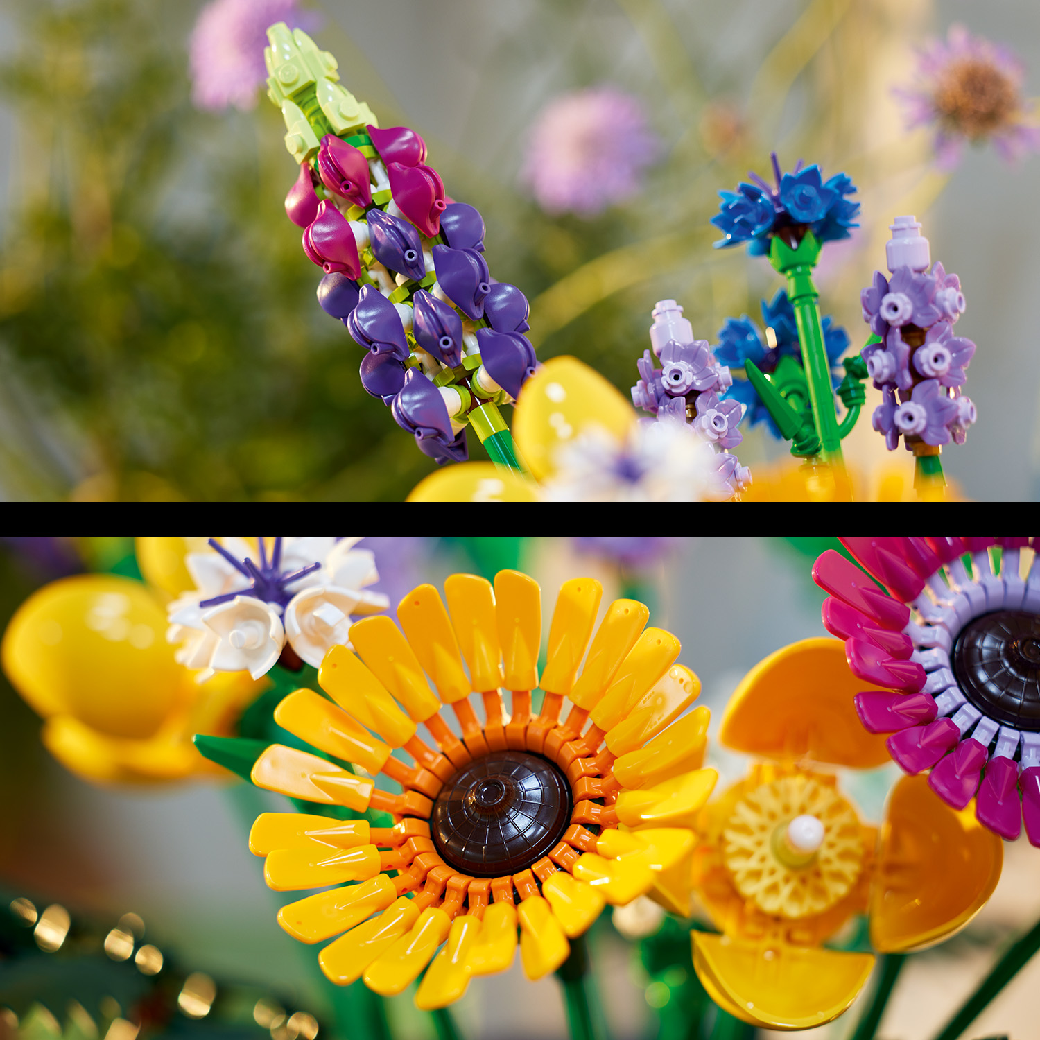 Wer erkennt alle Blumenarten?