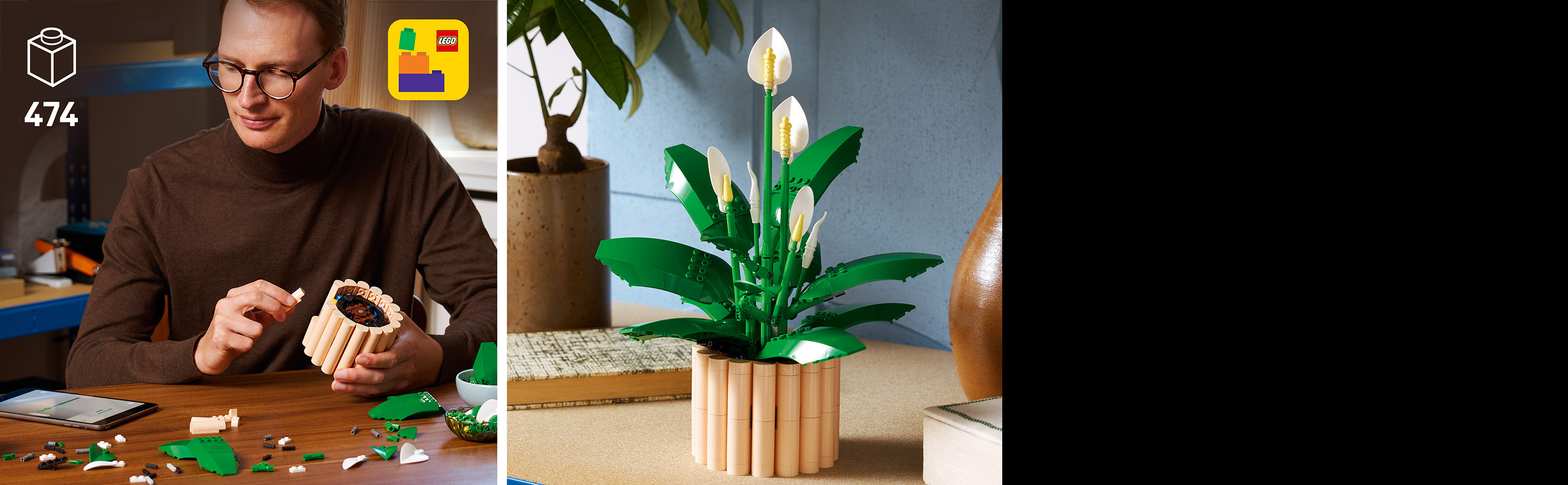 Ein fesselndes Projekt