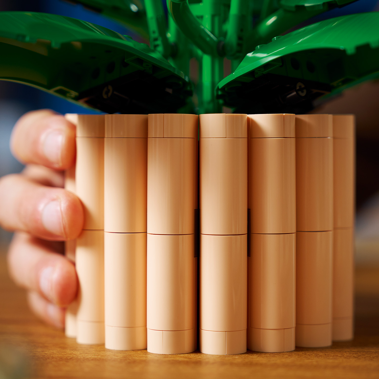 Pfirsichfarbener Blumentopf