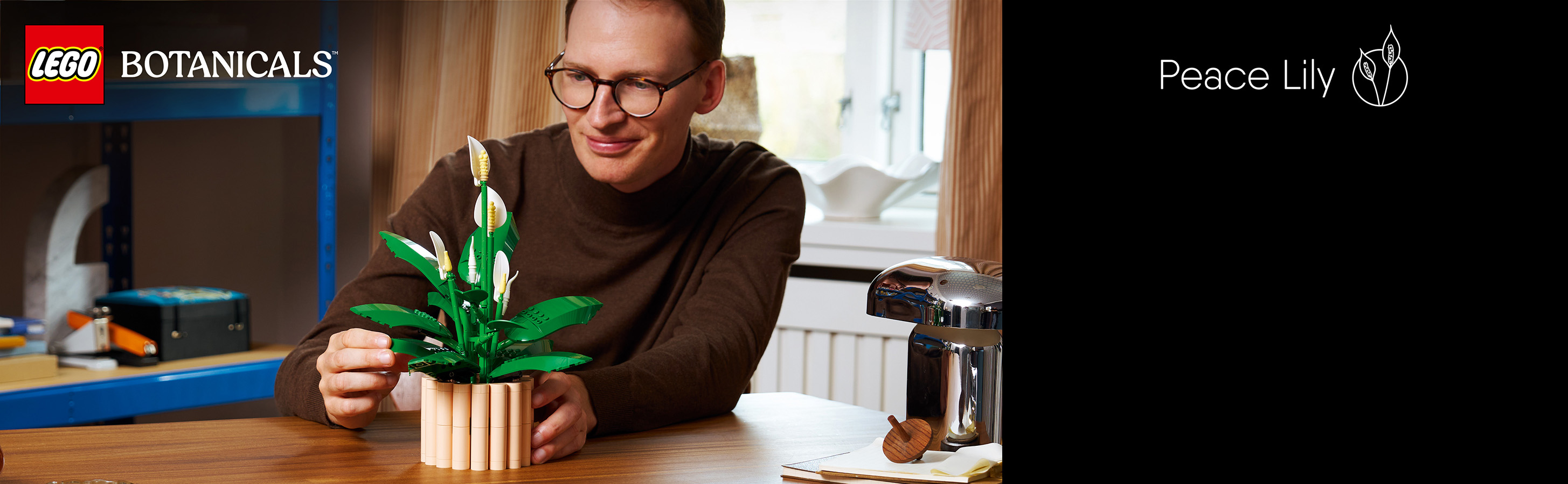 Ein harmonisches Modell