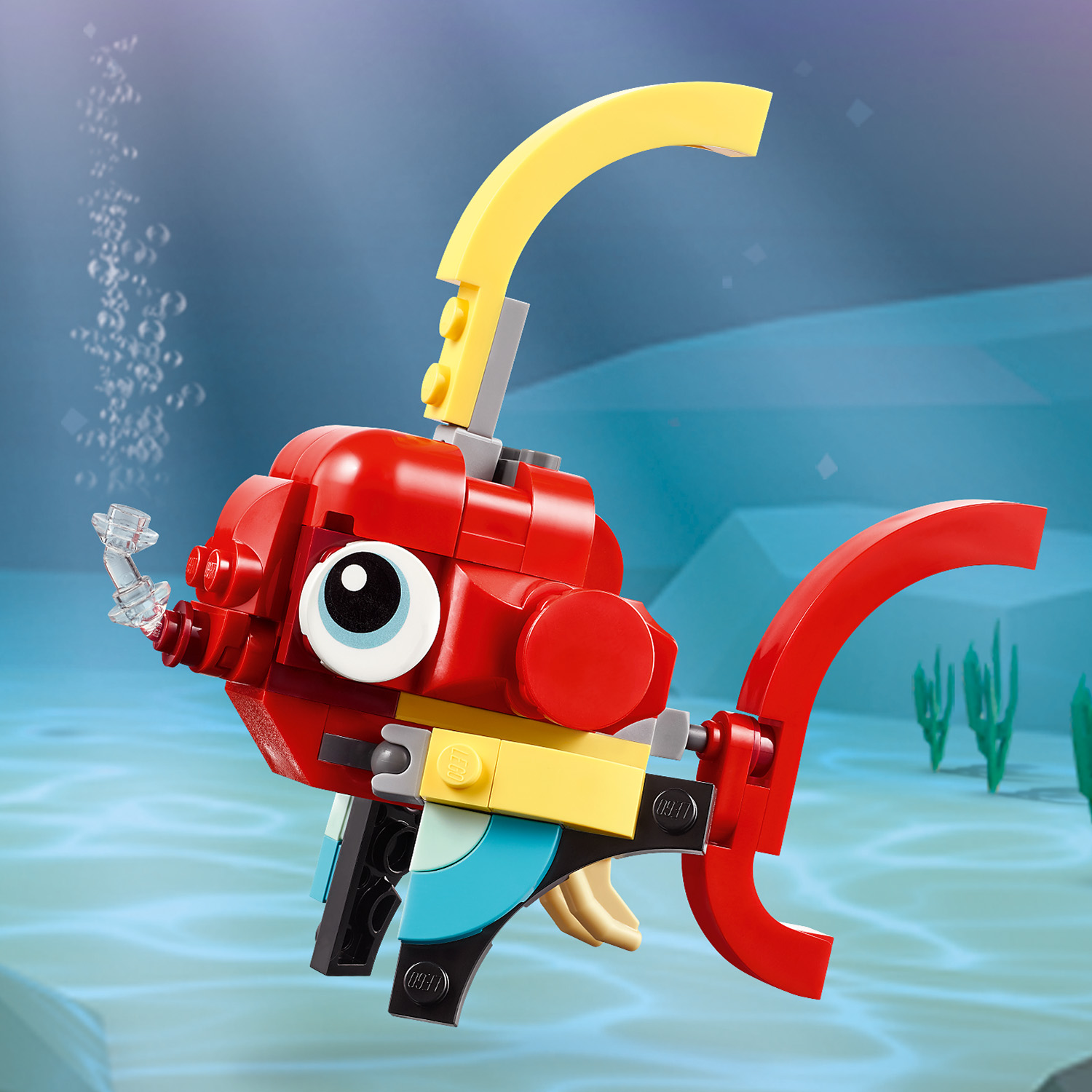 Bunter Fisch