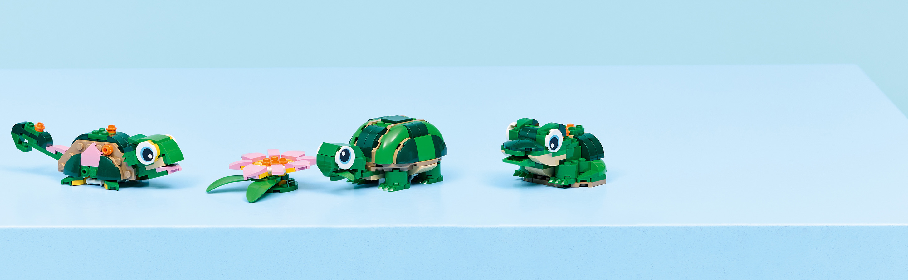 Ein tolles Geschenk für Tierfans