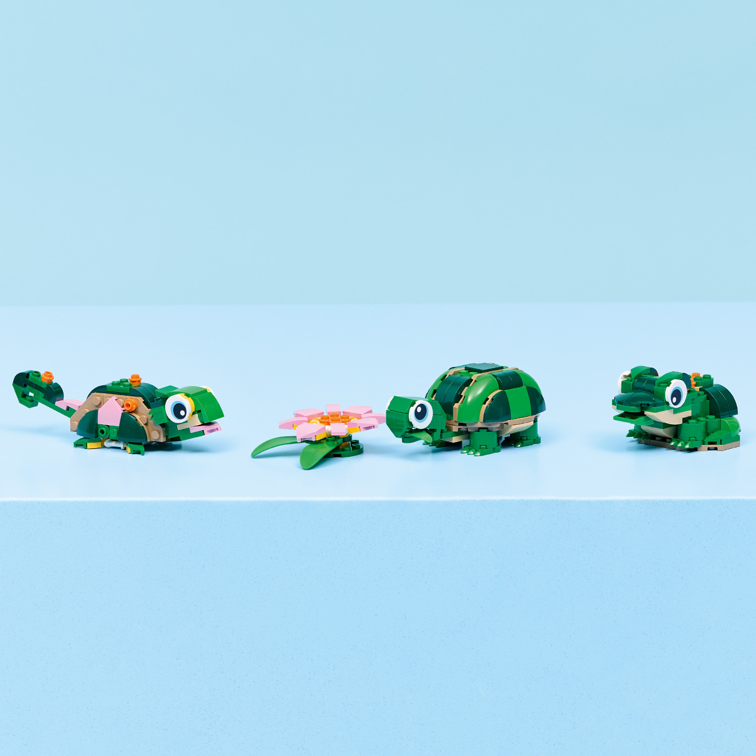 Ein tolles Geschenk für Tierfans