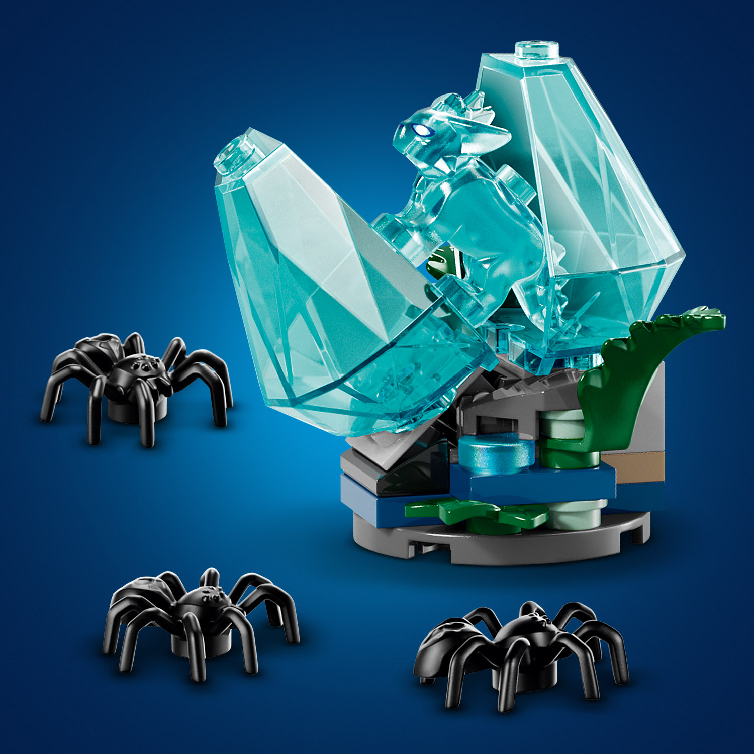 Es gibt viel zu entdecken