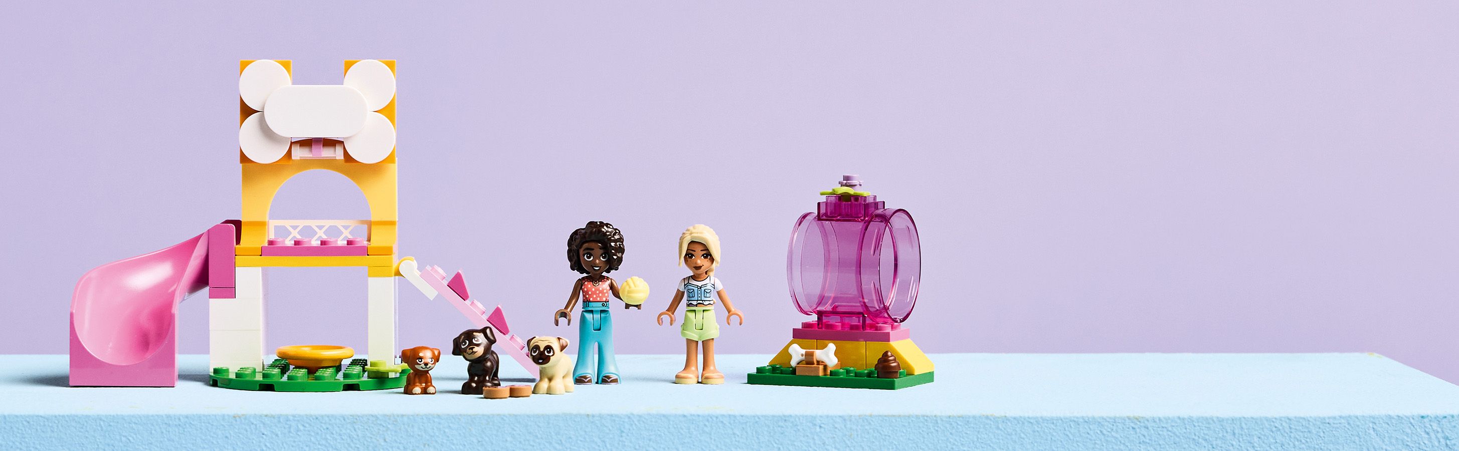 Ein fantasievolles Geschenk für Hundefreunde