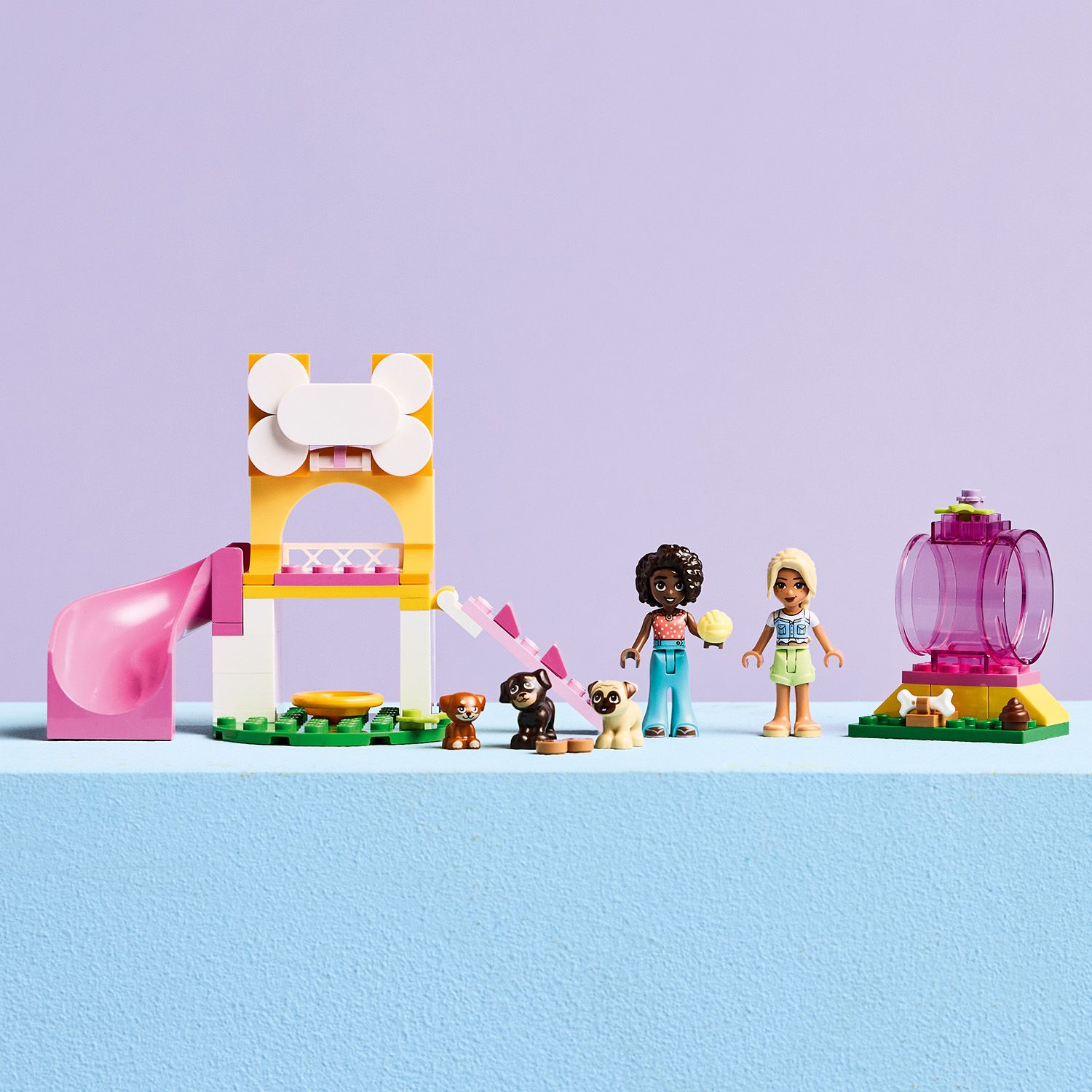 Ein fantasievolles Geschenk für Hundefreunde