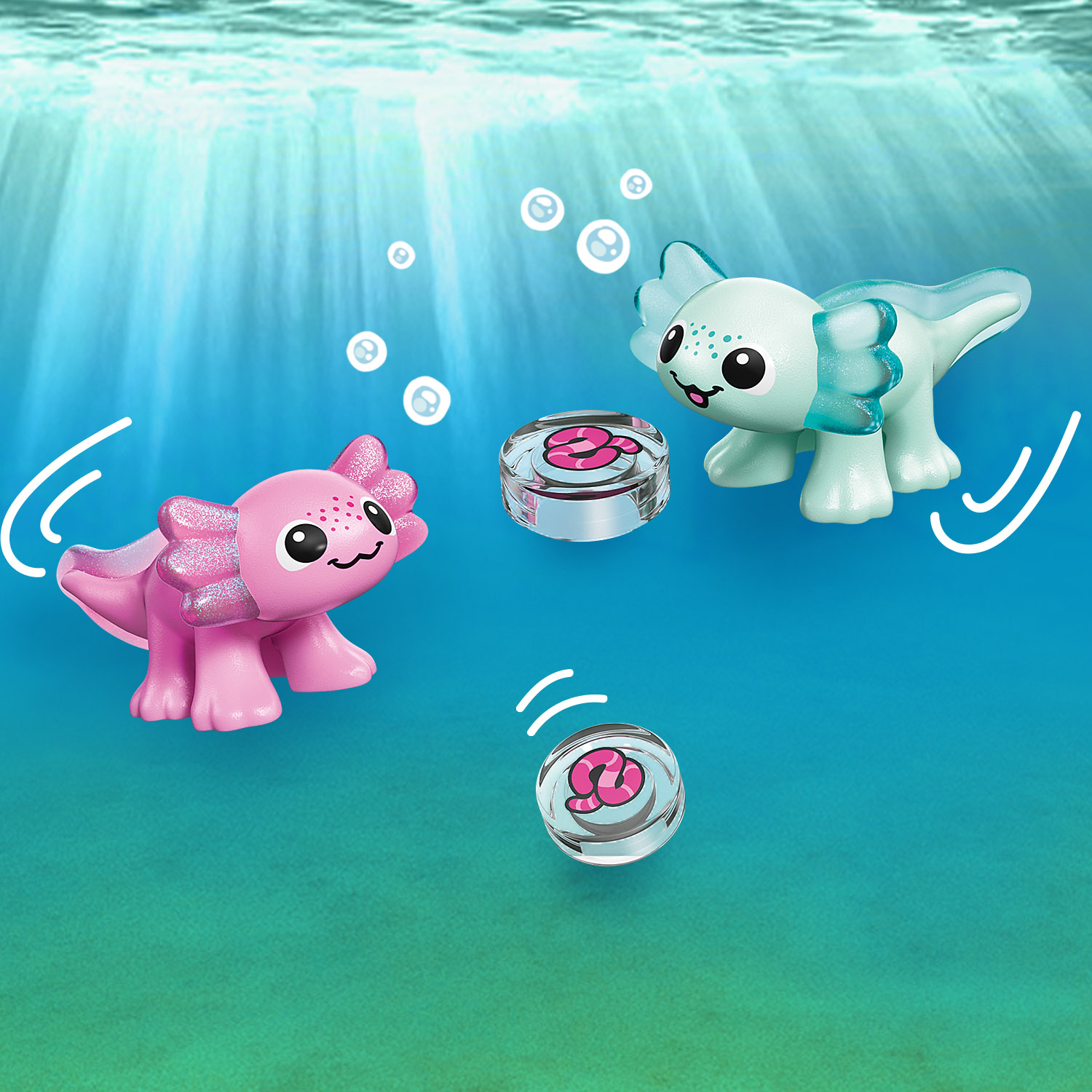 Die Axolotl entdecken