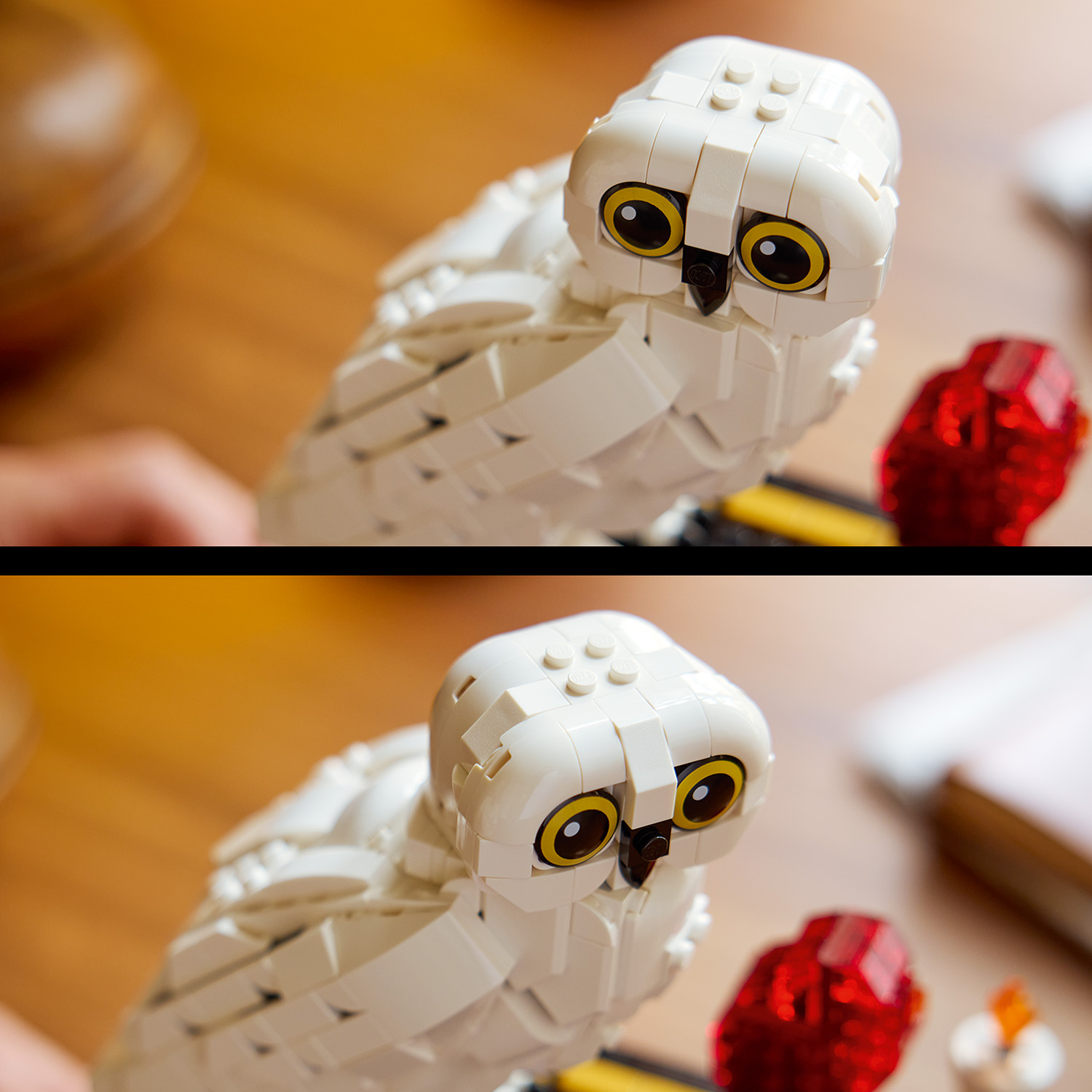 Ein echter Blickfang