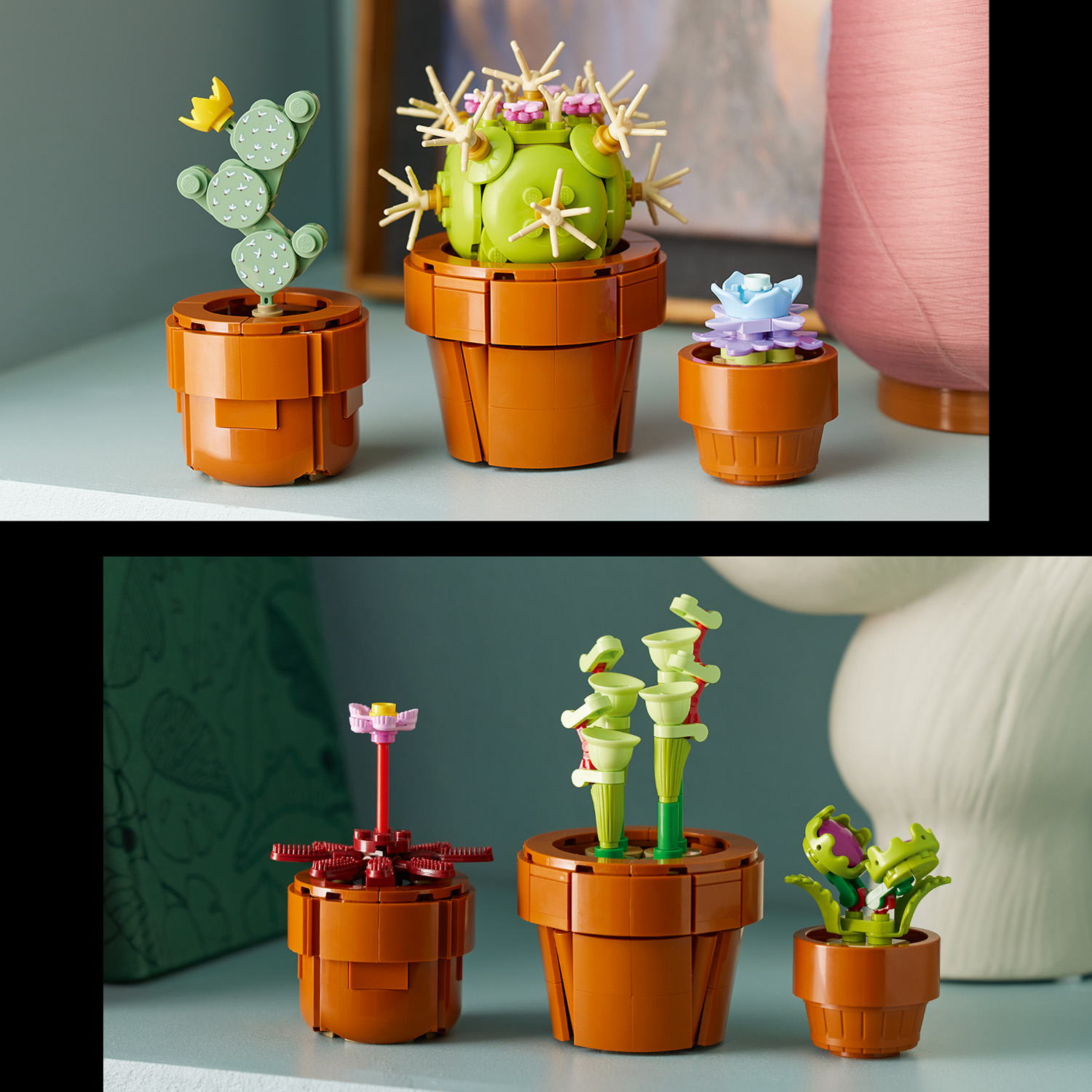 Tropische Blumenpracht
