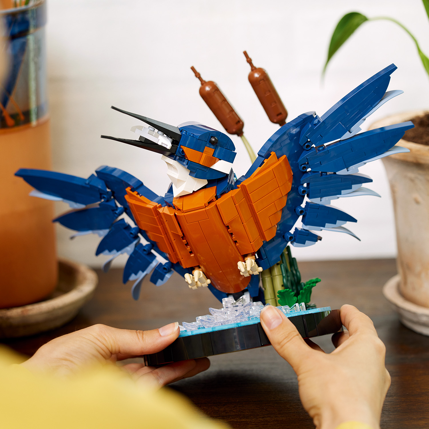 Majestätischer Eisvogel