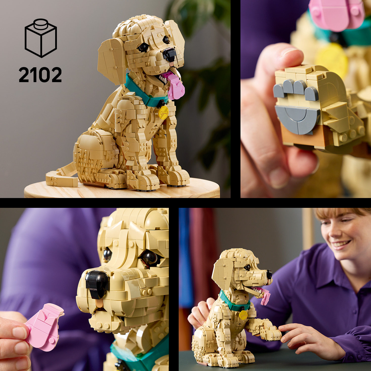 Ein treuer Begleiter zum Bauen