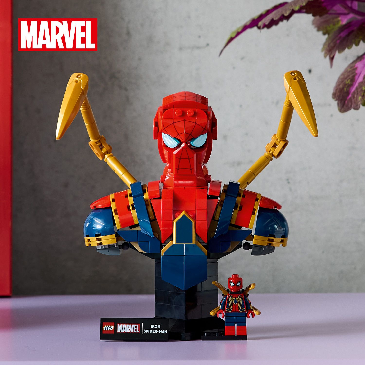 Anspruchsvolles Design und wertvolle Sammlerstücke