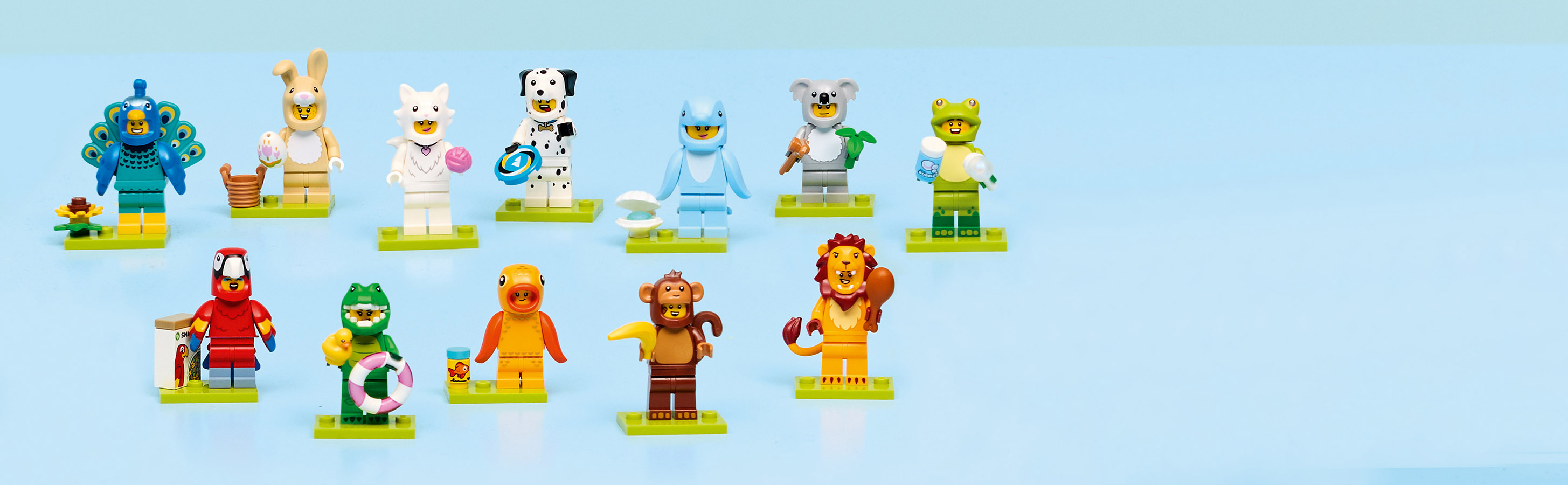 Wer steckt in der Überraschungsbox?