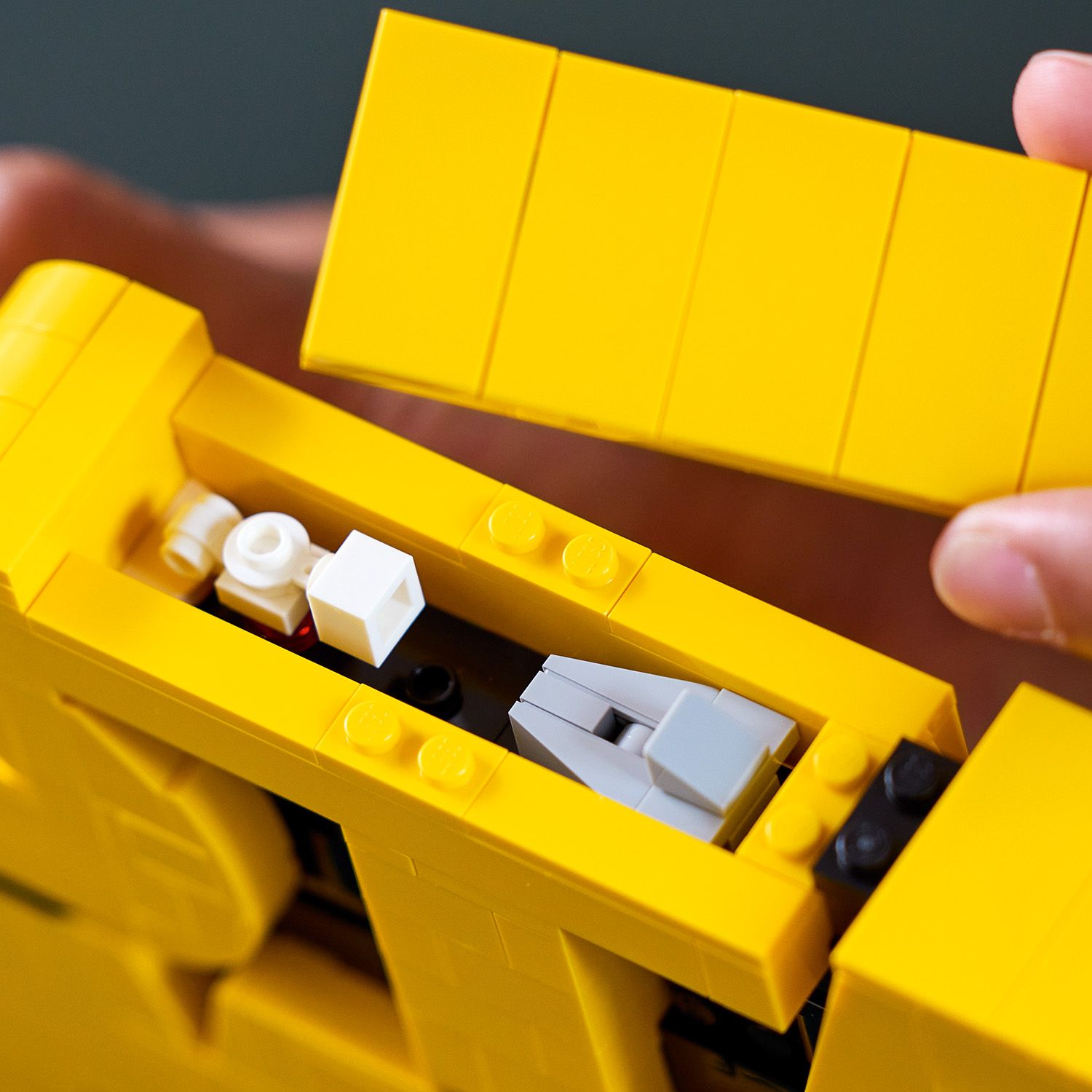 Ein versteckte Überraschung