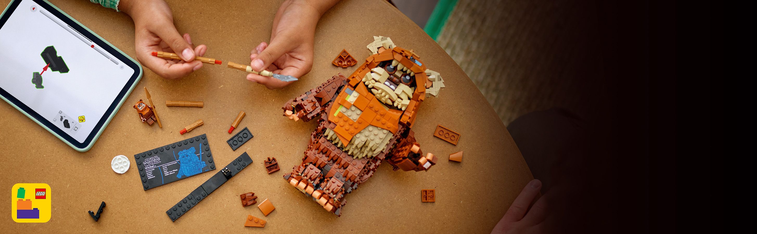 Gemeinsam mit Familie und Freunden bauen