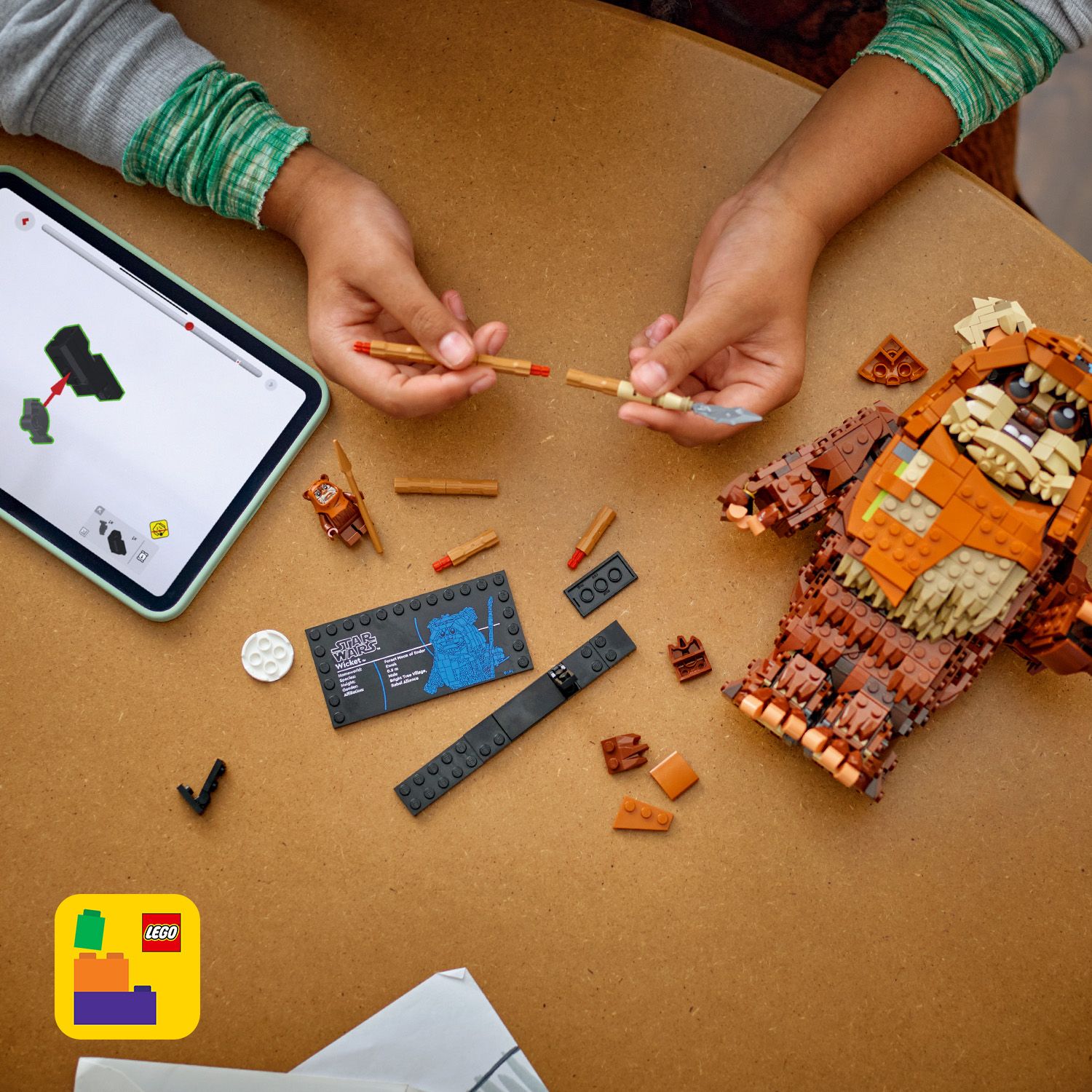 Gemeinsam mit Familie und Freunden bauen