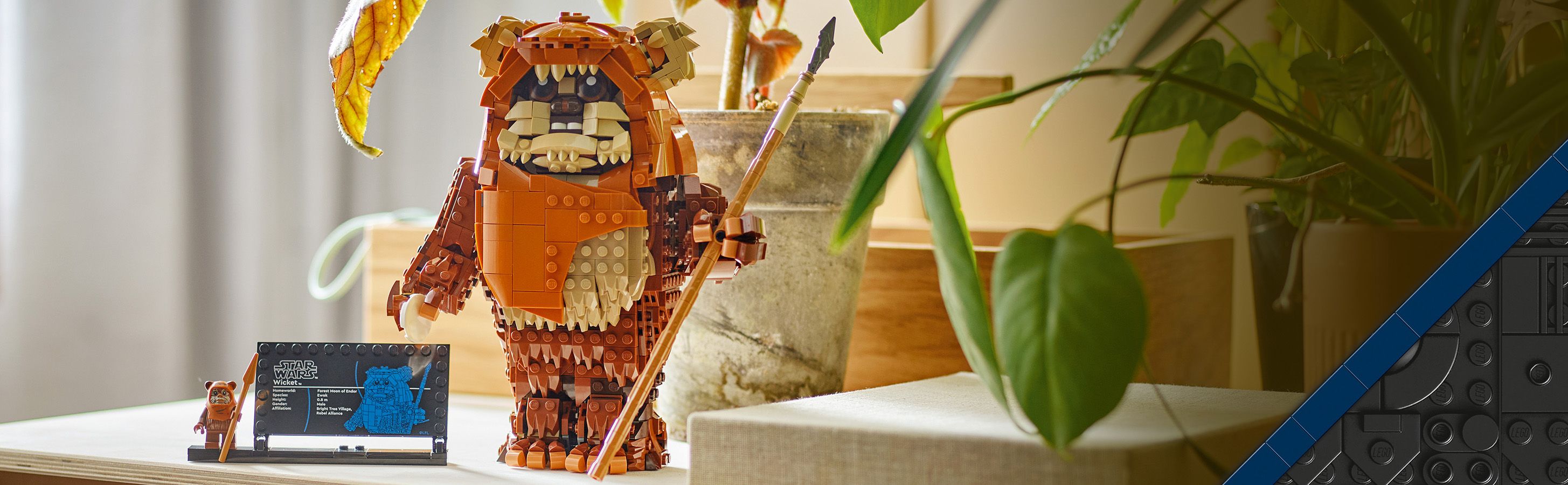 Coole Star Wars™ Geschenke für Kinder