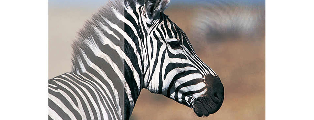 Philips 243V7QDAB/00