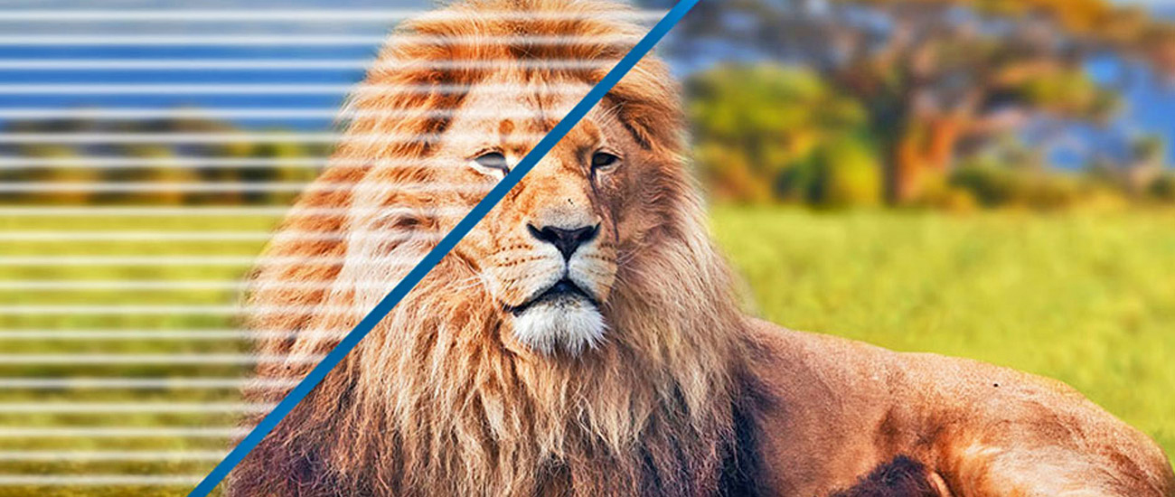 Philips 243V7QDAB/00