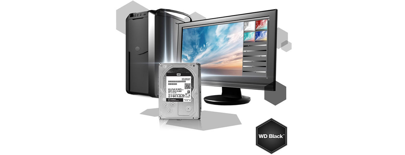 HDD WD 6TB 7200rpm 256MB BLACK WD4005FZBX Geschwindigkeit