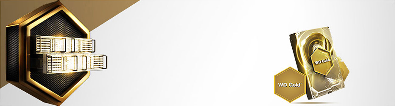 WD GOLD 18TB 7200 U/min 512MB SATA