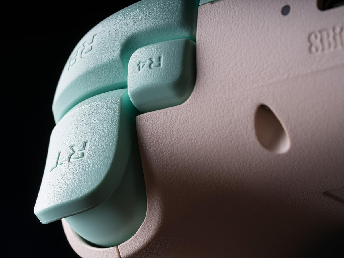 8BitDo Ultimate 2C Wireless Pad Mint - Personalisierung und zusätzliche Tasten