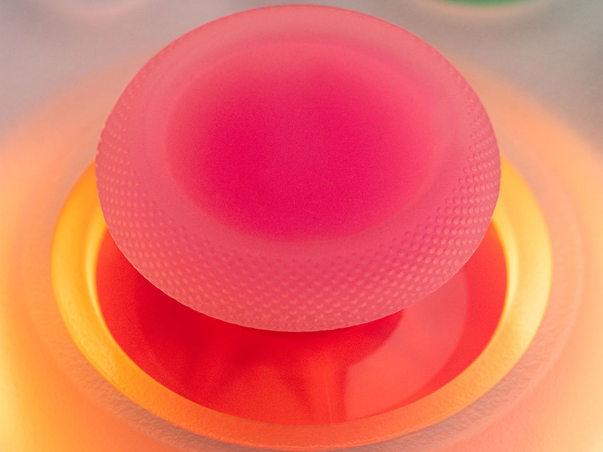 8BitDo Ultimate Mini Wired Controller für Xbox - Lifestyle-Grafik