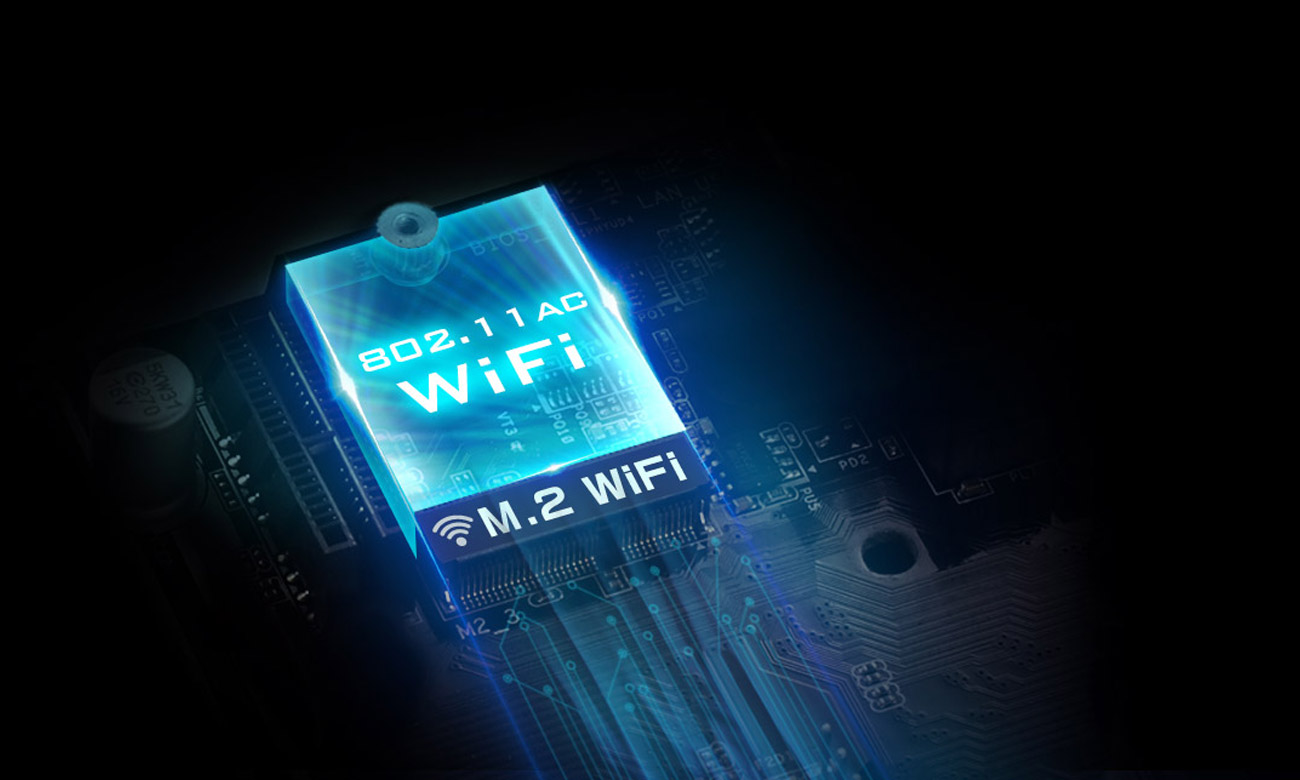 ASRock B550 PG RIPTIDE internet