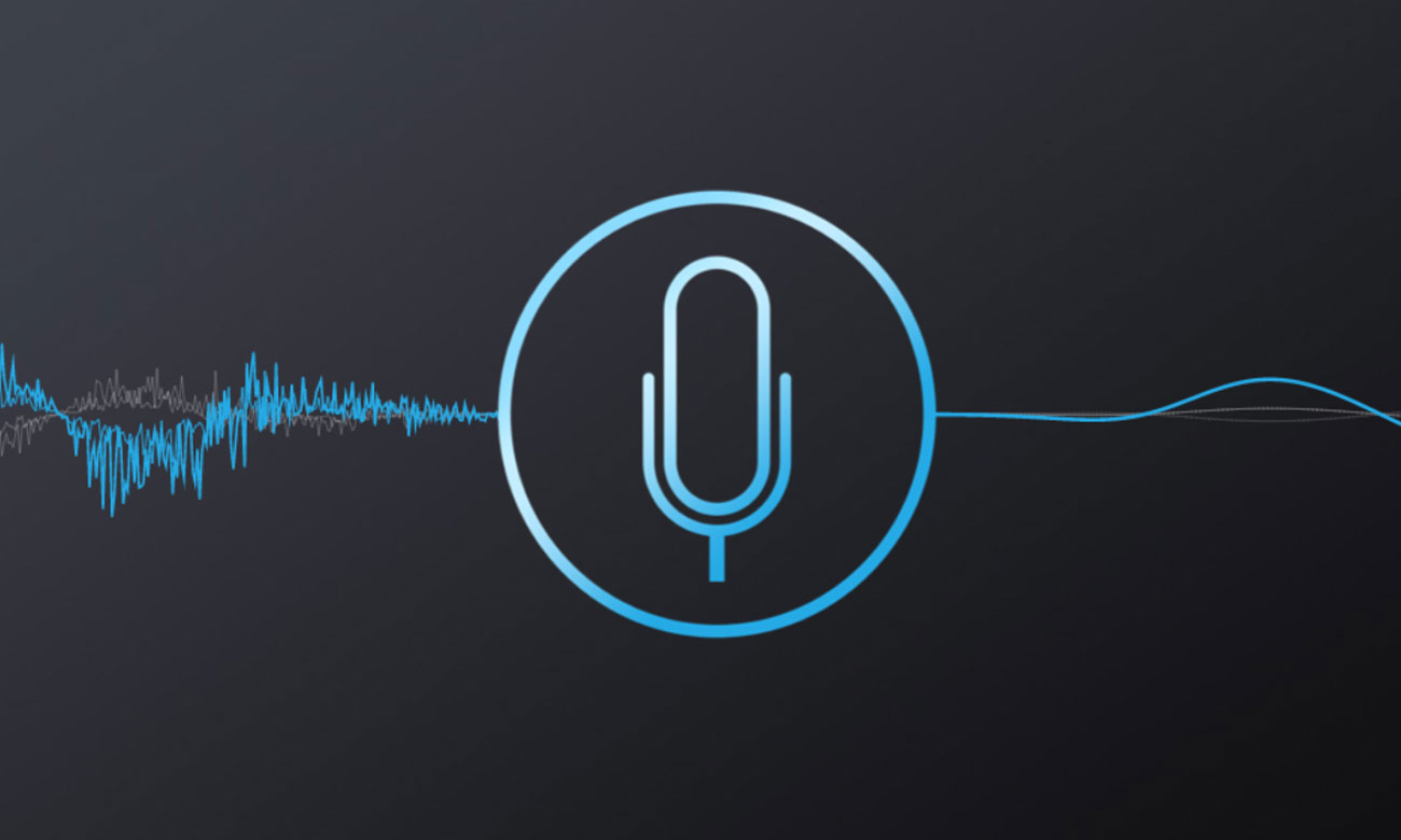 Mikrofon mit Rauschunterdrückung