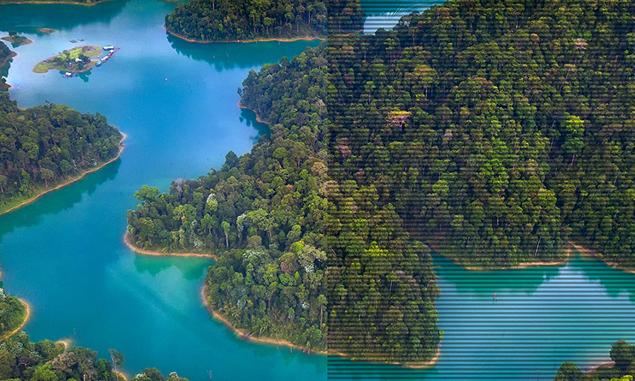 ASUS VA24EQSB Flicker-Free-Technologie