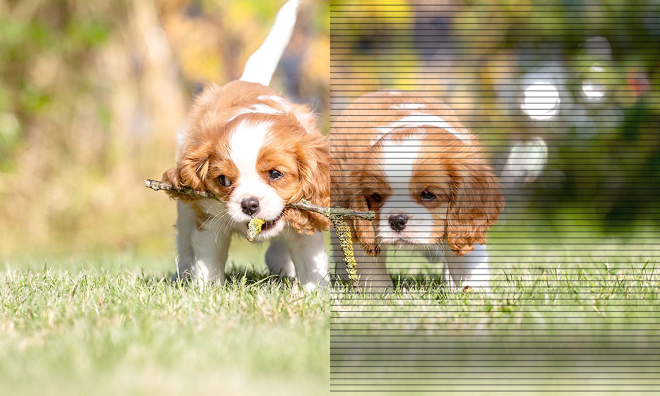 Müde und angestrengte Augen gehören der Vergangenheit an