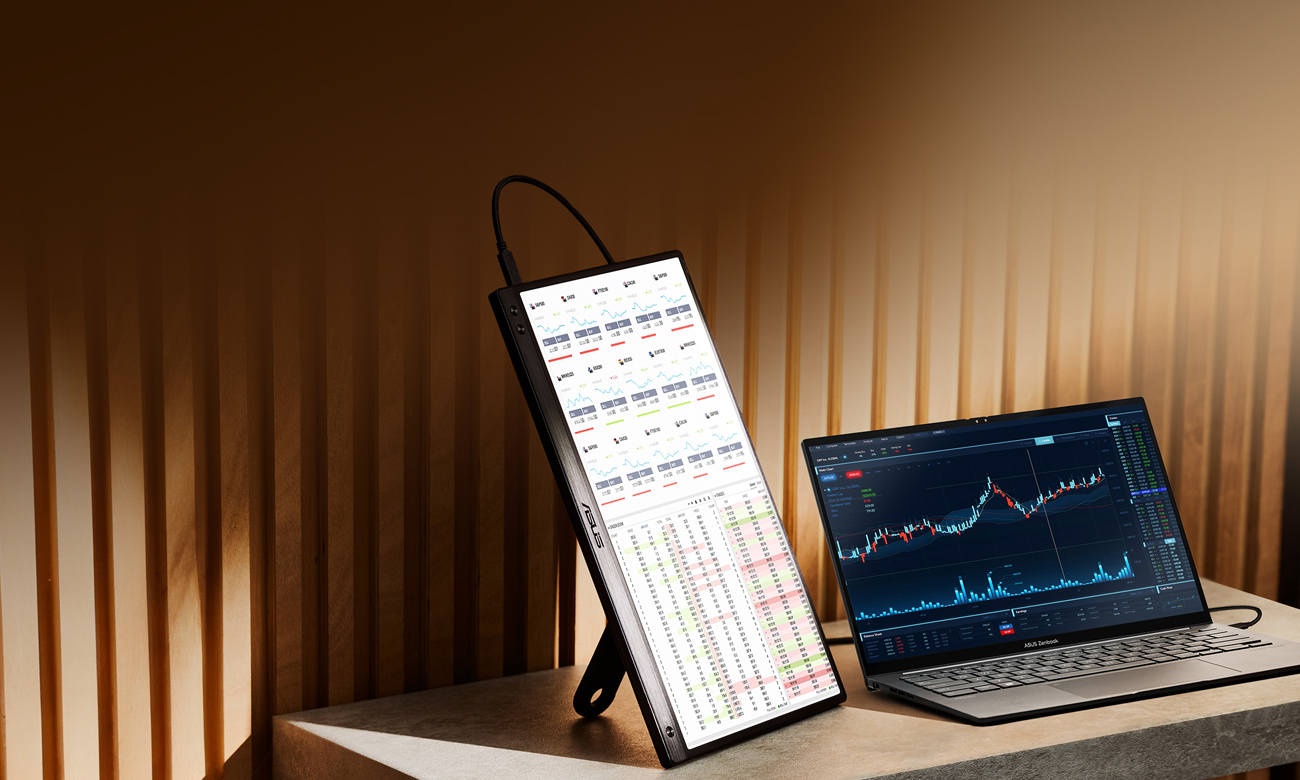 ASUS ZenScreen MB166CR 