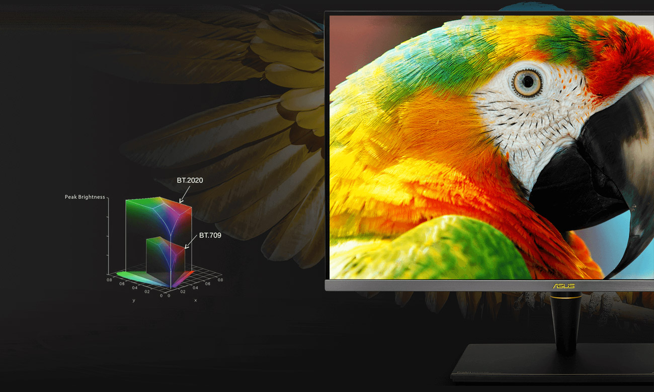 Professioneller ASUS PA32UCX-K Monitor