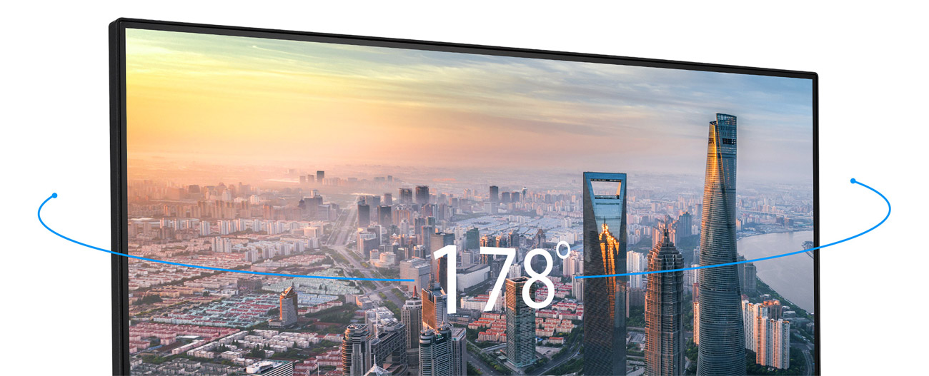 ASUS VA24ECPSN IPS-Panel