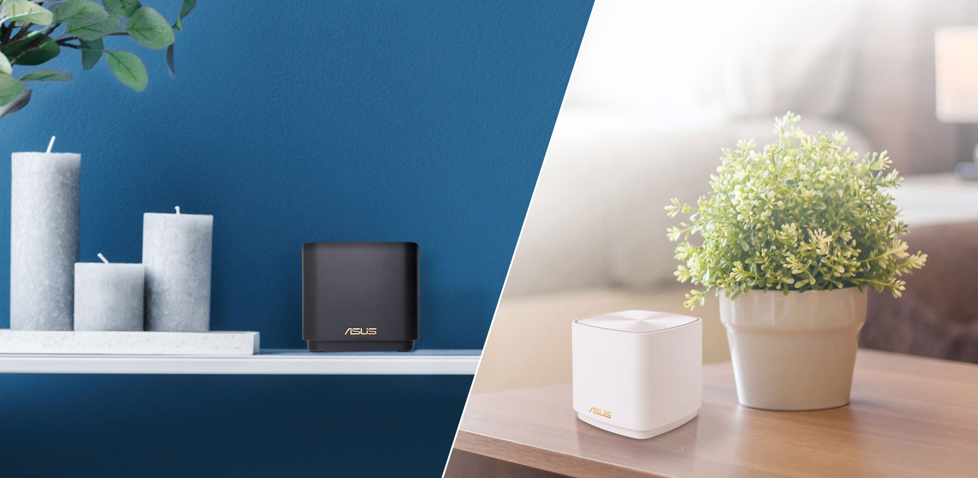 ASUS ZenWiFi XD5 Gerät