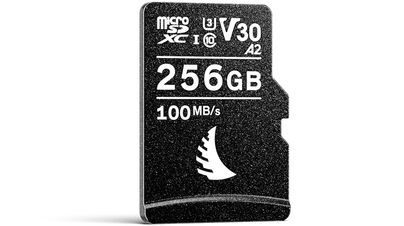 Angelbird Speicherkarte 256 GB AV PRO microSDXC V30
