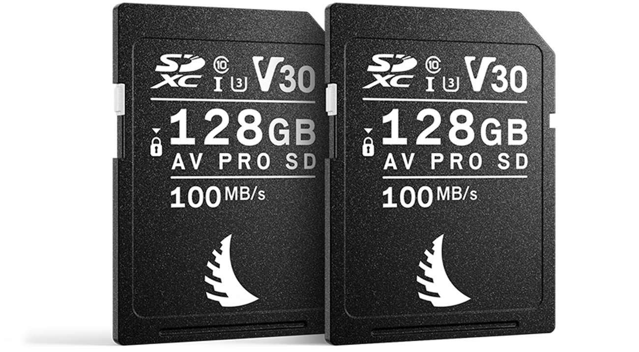 Karta pamięci Angelbird 2x128GB AV PRO SDXC MK2 V30 Match Pack for Canon