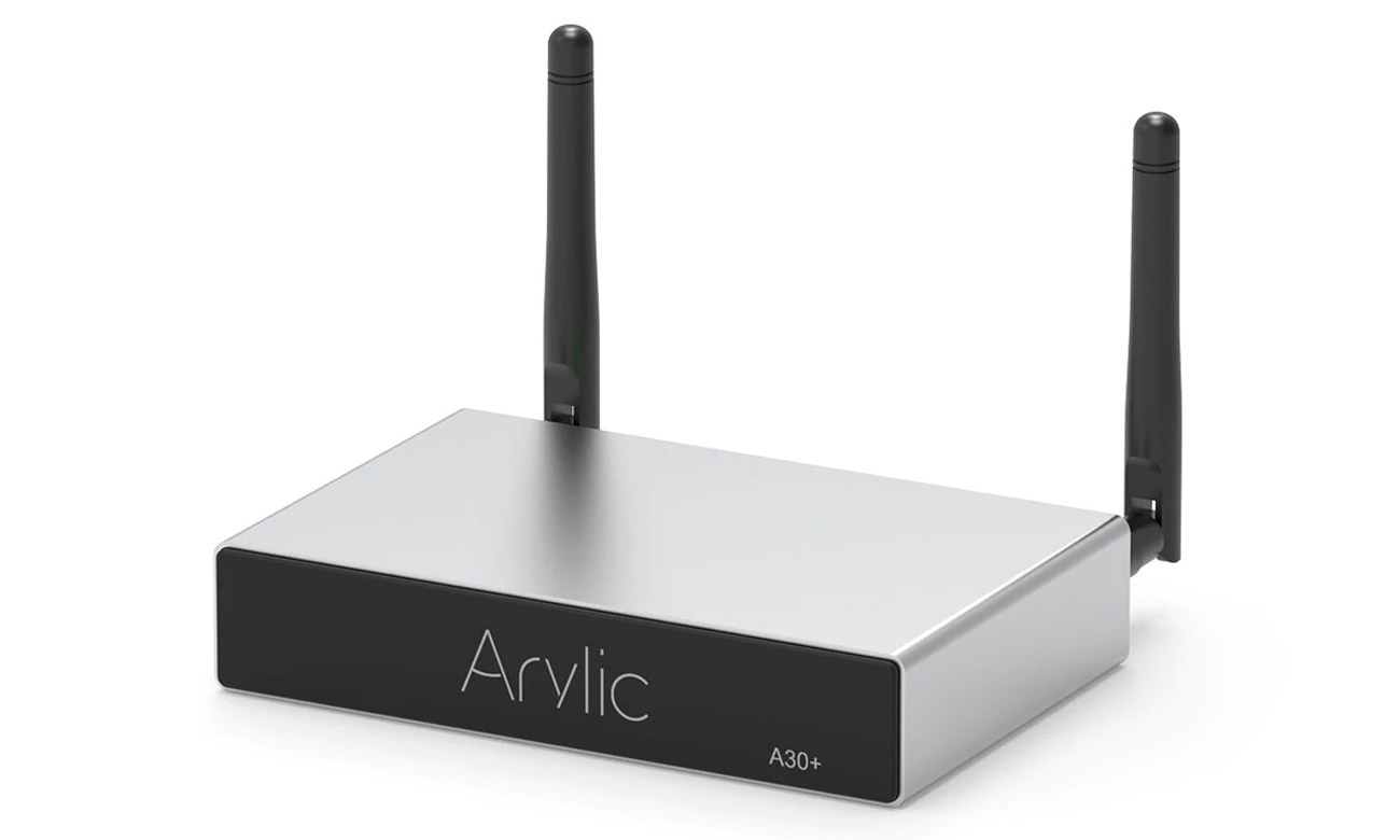 Arylic A30+ widok z przodu pod kątem