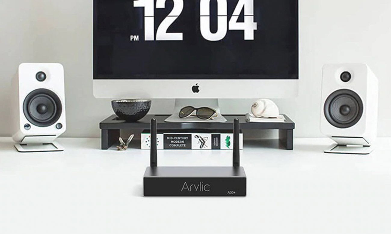 Arylic A30+ widok z przodu 