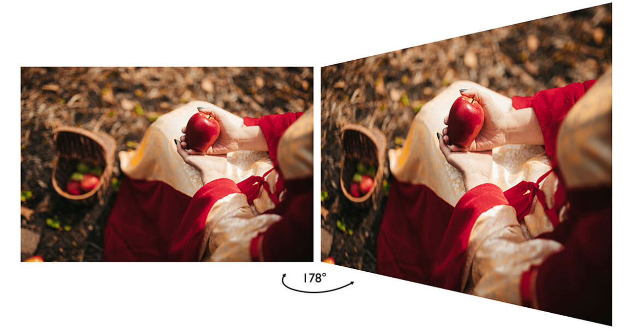 Heim- und Büromonitor BenQ GW2480T