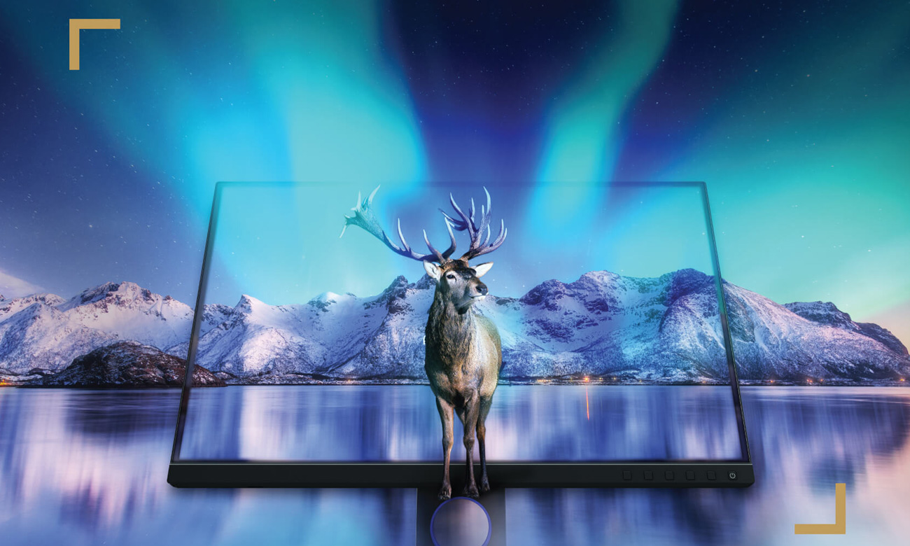 Monitor für Grafiker und Fotografen BenQ SW321C