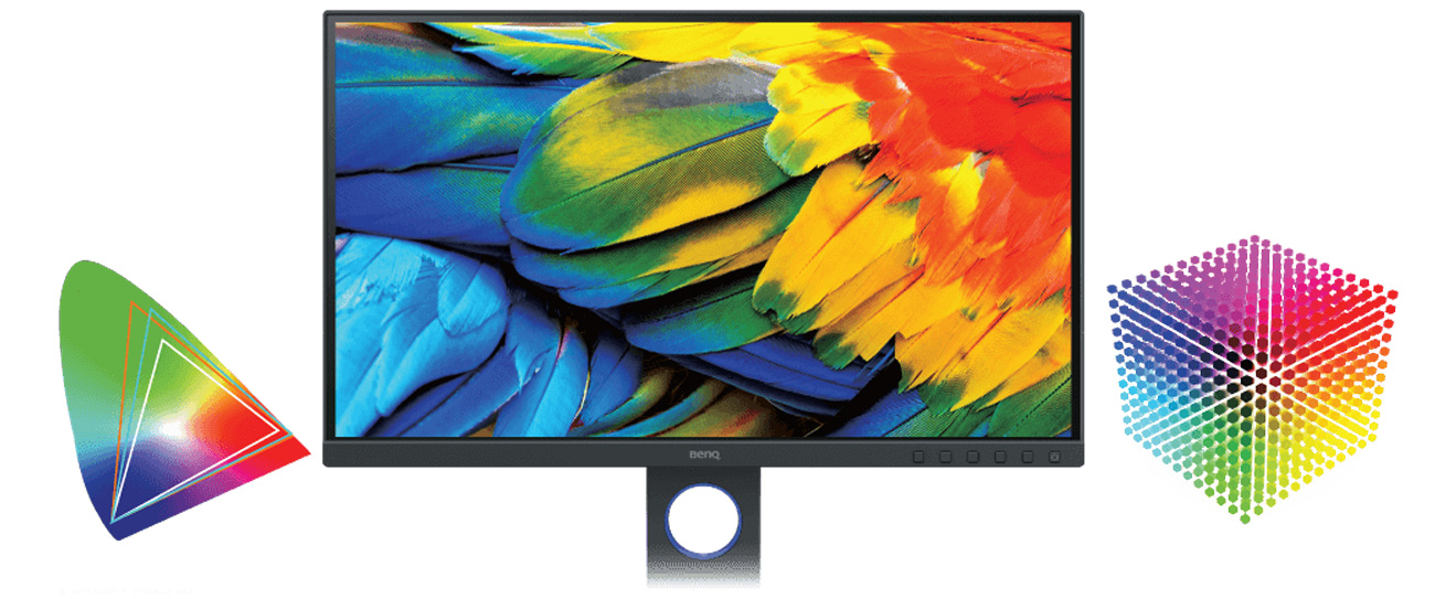 Monitor für Grafiker und Fotografen BenQ SW321C