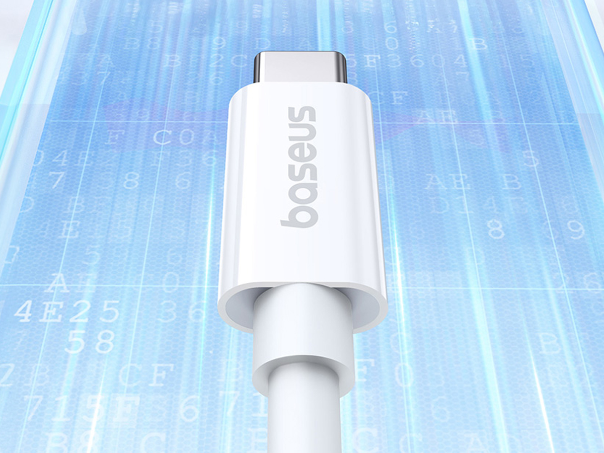 USB-C Kabel Superior 2 Anschlüsse