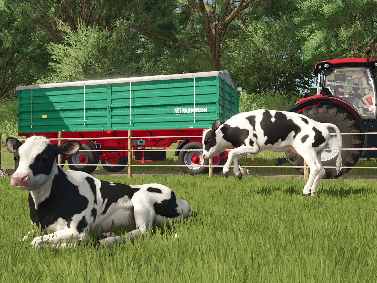 Screenshot aus dem Spiel Farming Simulator: Signature Edition