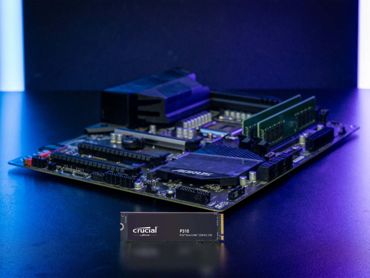 Crucial P310