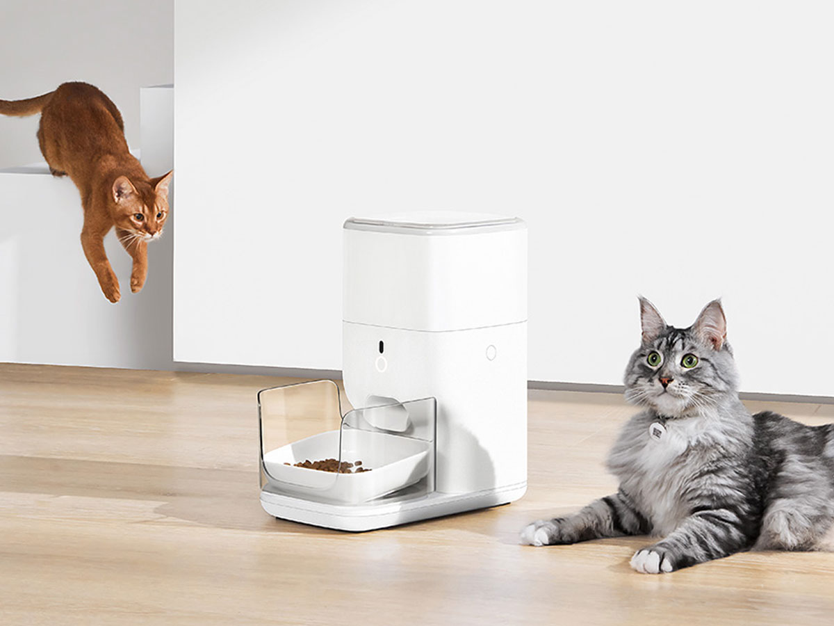 Catlink Intelligenter Futterschäkel mit Katzen-Erkennung