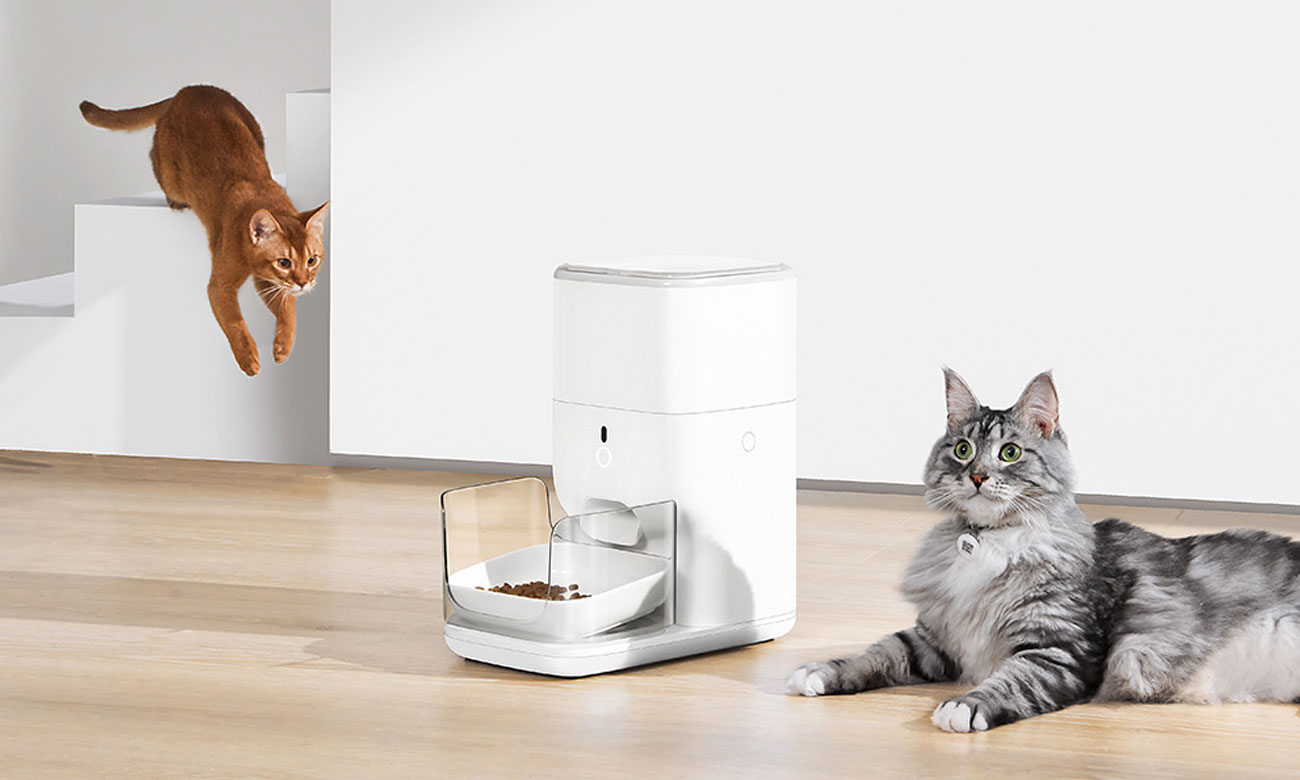 Catlink Intelligenter Futterschäkel mit Katzen-Erkennung