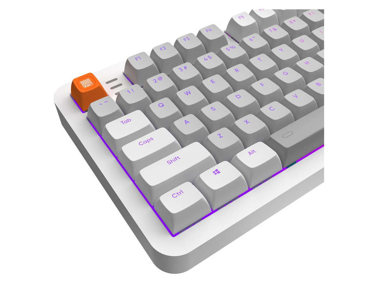 Kabelgebundene mechanische Tastatur Dark Project ALU87B Delta Wired G3MS Moonstone