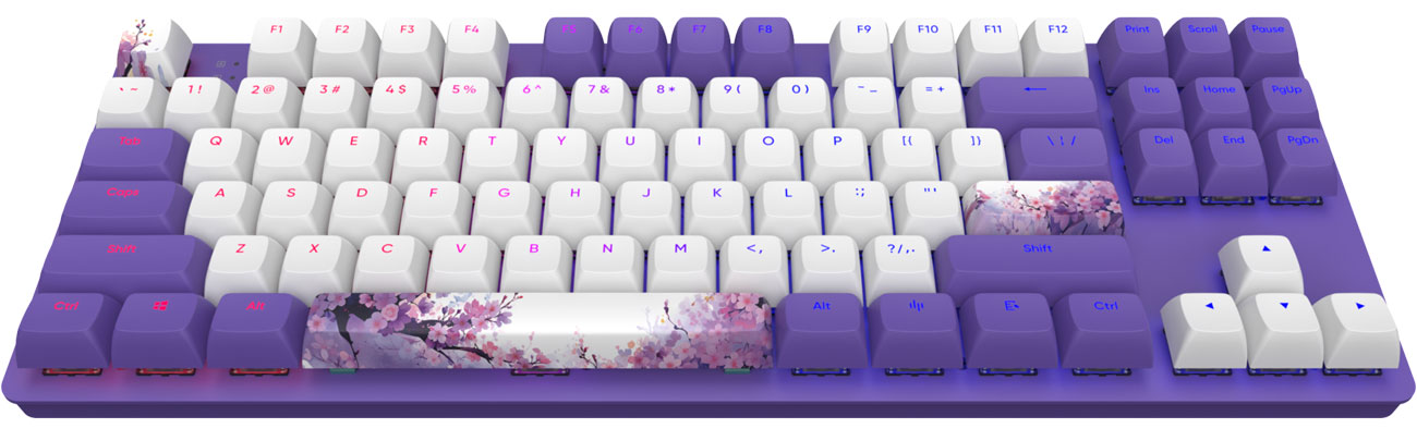 Dark Project DPO87 Violet Horizon Combo G3MS Sapphire Tastatur