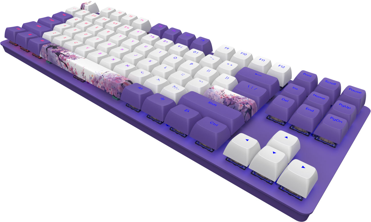 Dark Project DPO87 Violet Horizon Combo G3MS Sapphire Tastatur